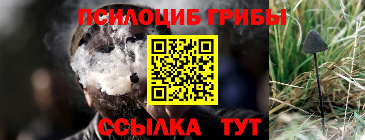Псилоцибиновые грибы мухоморы Лесной